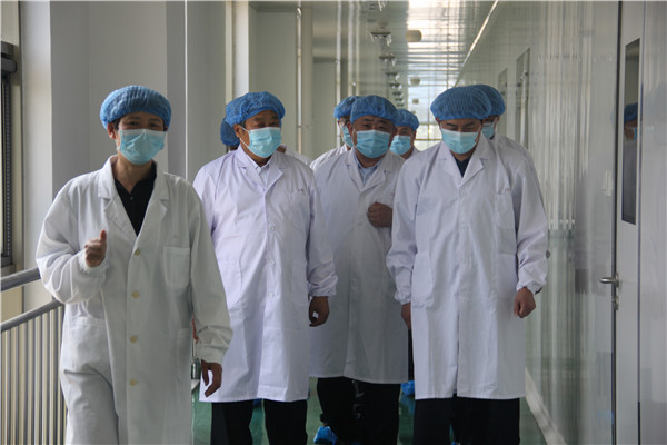 2020年6月20日平邑縣委常委、政法委書記王立劍到公司調(diào)研指導工作