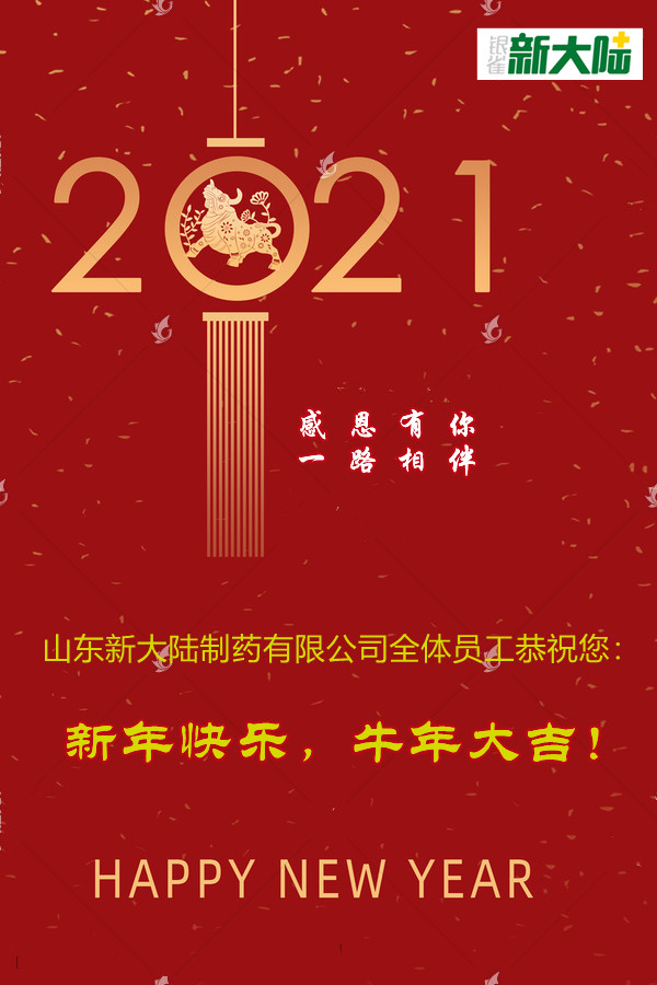 山東新大陸制藥有限公司恭祝您新年快樂！