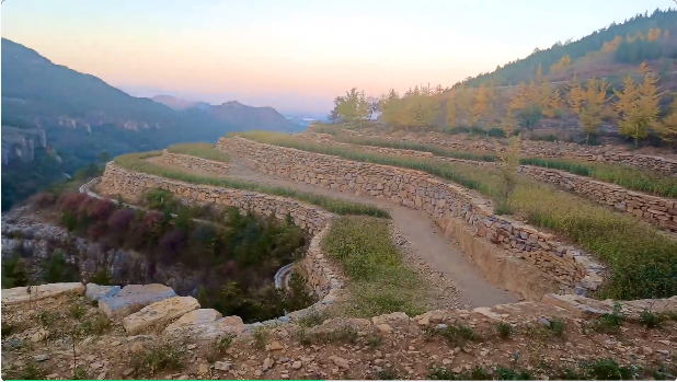 臨沂融媒報道：二十大時光｜九間棚人的好日子