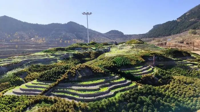 非凡十年，平邑縣九間棚續(xù)寫沂蒙精神新篇章